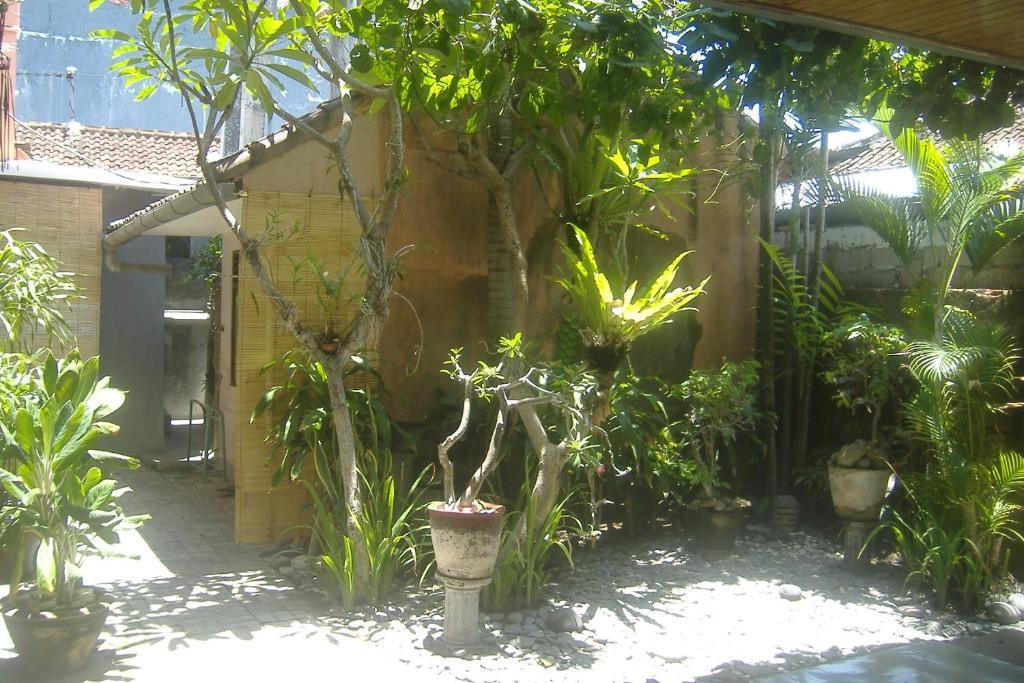 קוטה לומבוק Mustika Inn מראה חיצוני תמונה